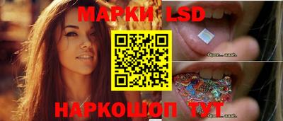 шишки Шебекино