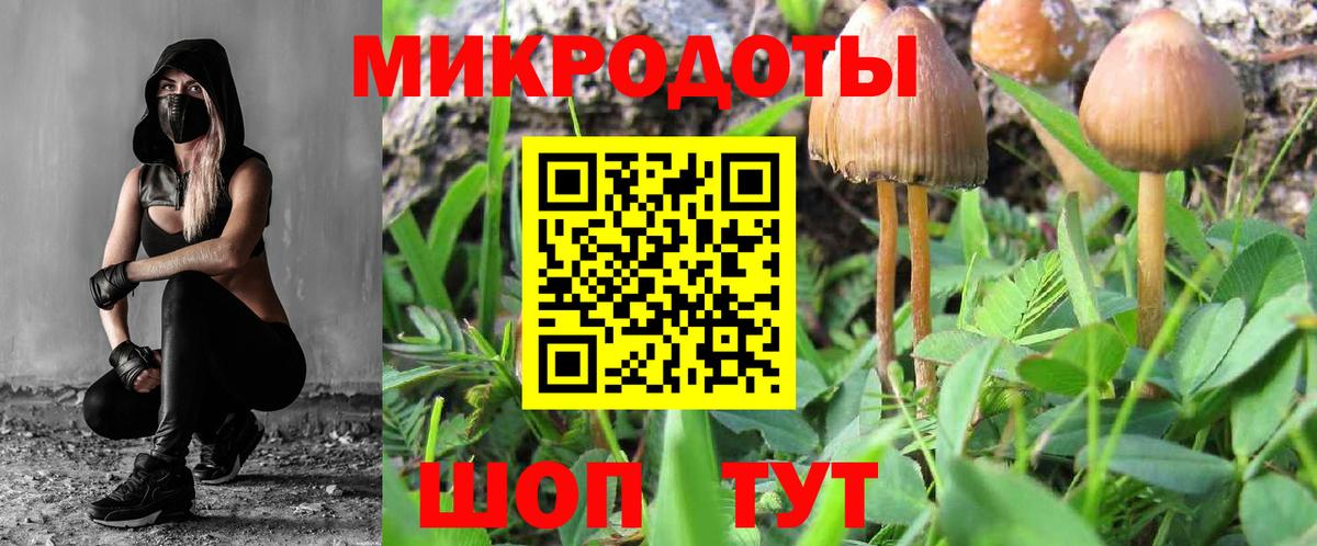 Галлюциногенные грибы Cubensis Асино